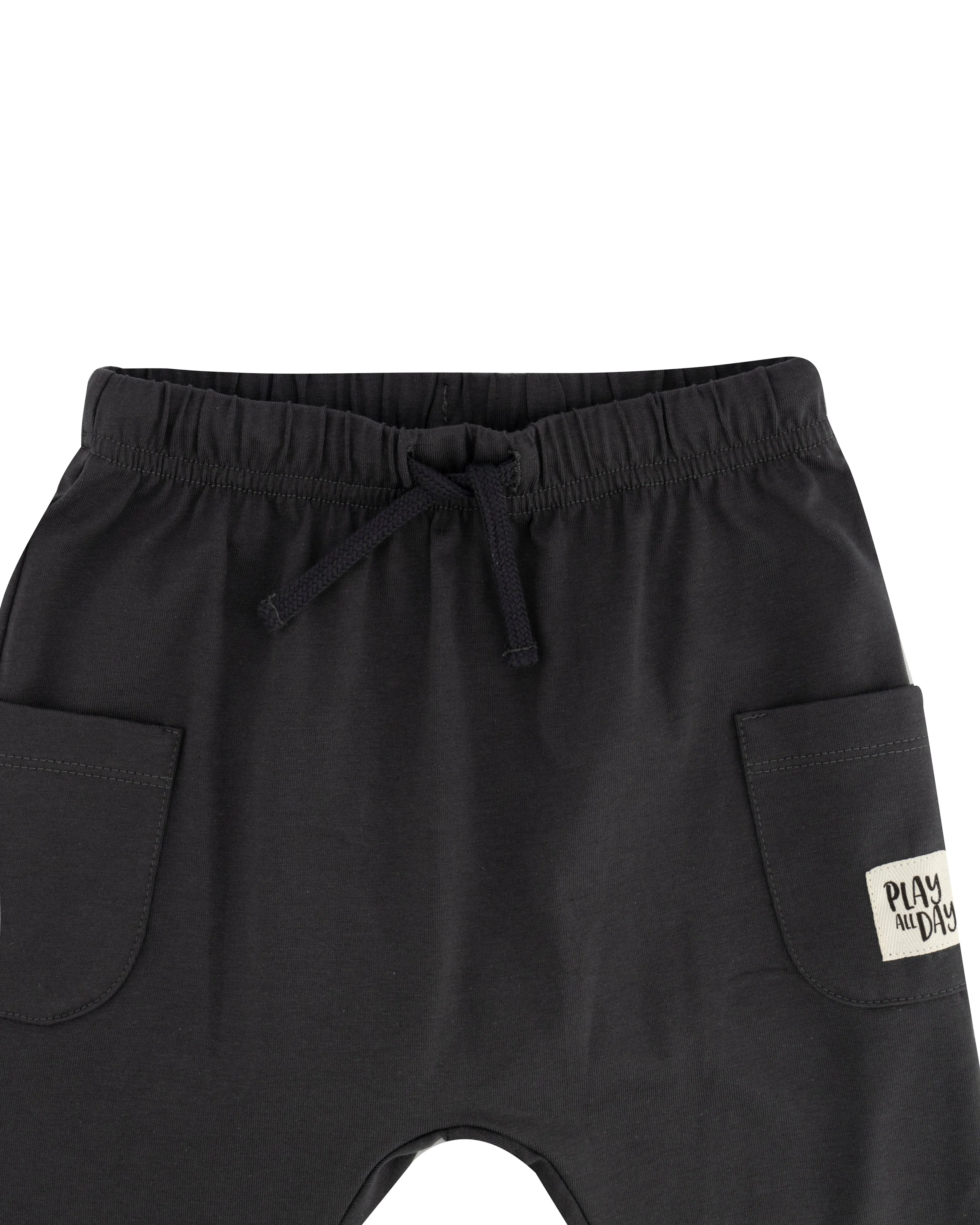 Slate Pants